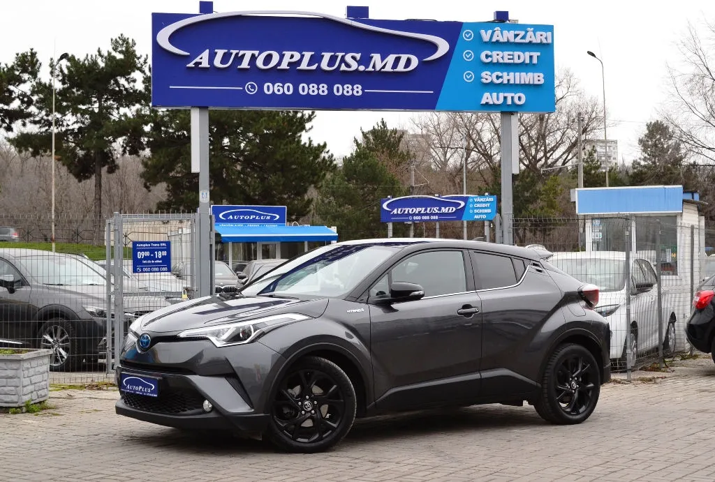 Toyota C-HR Graphic