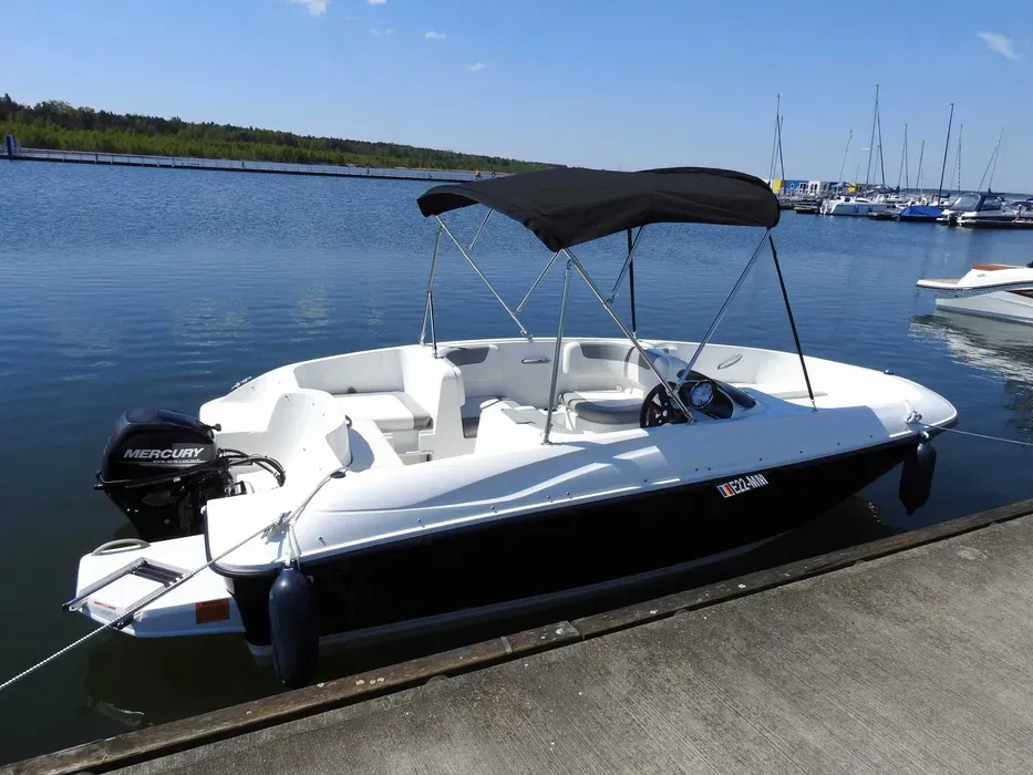 Bayliner Element E16 E16
